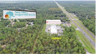 More details for 7929 S Suncoast Blvd, Homosassa, FL - Land for Sale