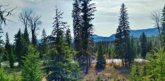 Mt Highway 83, Bigfork, MT for sale - Primary Photo - Image 1 of 1