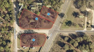 More details for 25035 County Road 42, Paisley, FL - Land for Sale