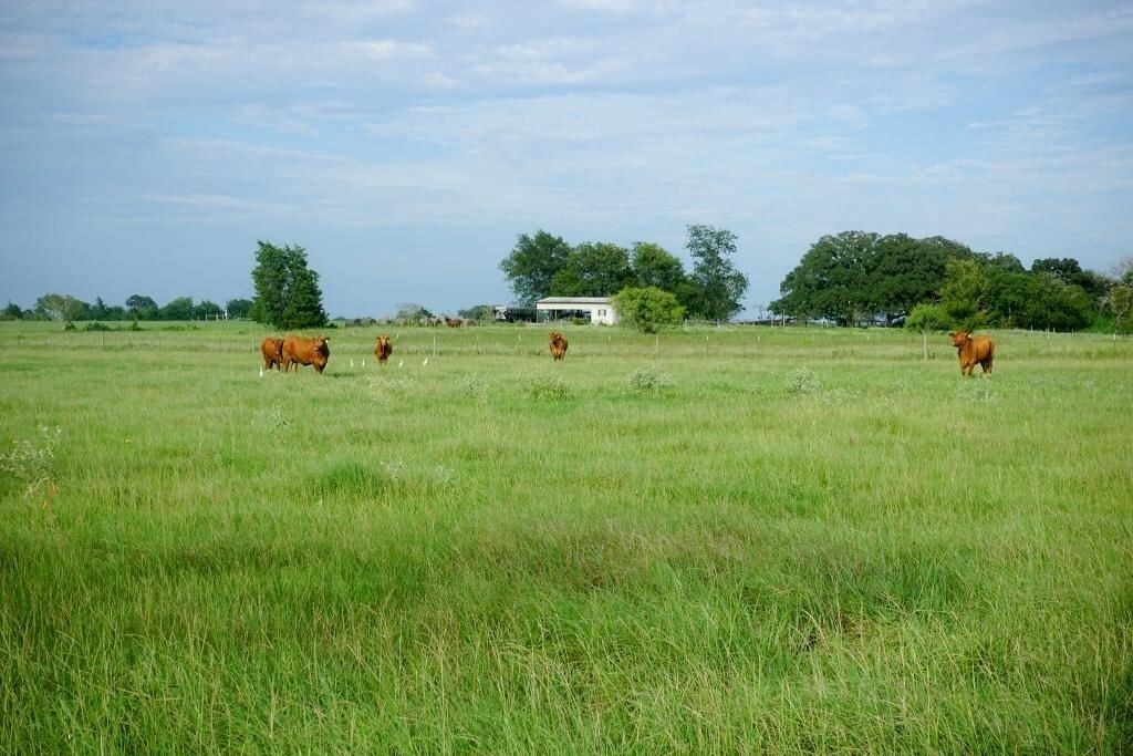 10070 OSR, Midway, TX for sale Primary Photo- Image 1 of 1