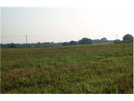 Boone Station Rd, Shelbyville, KY for sale - Primary Photo - Image 1 of 1