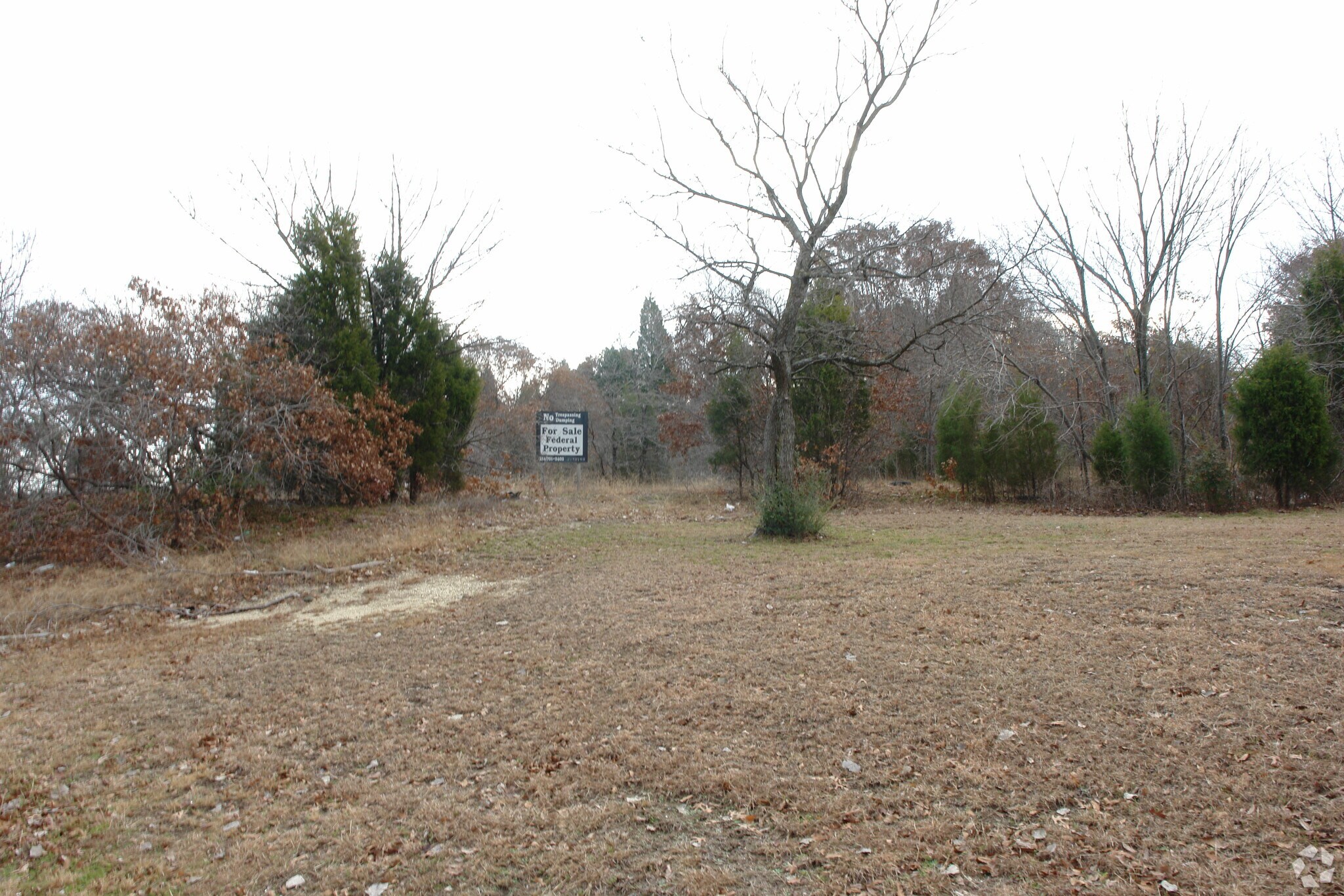 8000 Scyene Rd, Dallas, TX for sale Primary Photo- Image 1 of 1