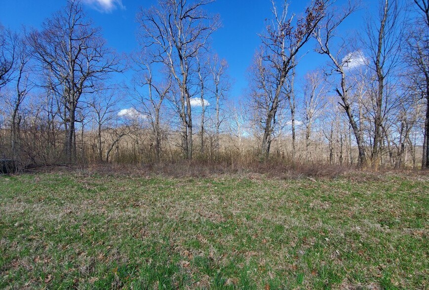 The Woods Of Sandy Crk, Winfield, MO 63389