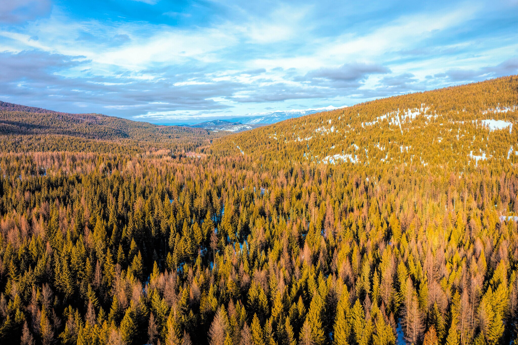 Nhn Lot 14 Tamarack Lane, Rexford, MT for sale Aerial- Image 1 of 1