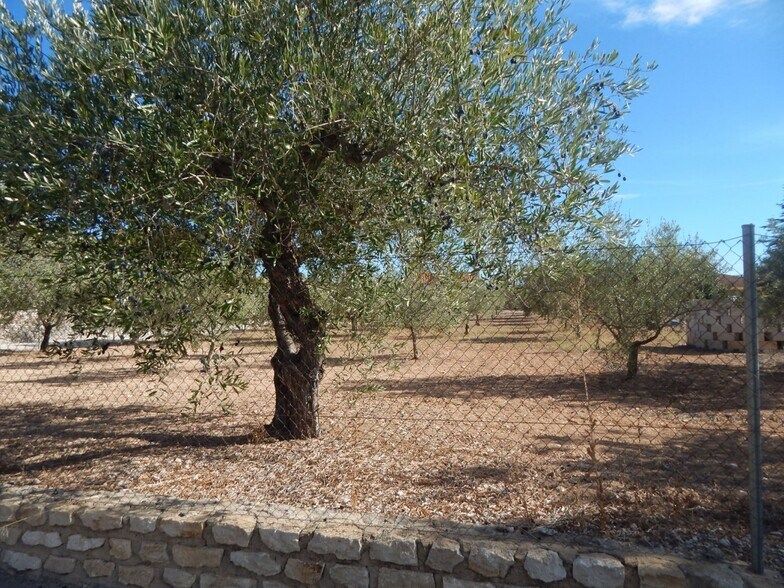 Land in Ontinyent for sale - Building Photo - Image 2 of 5