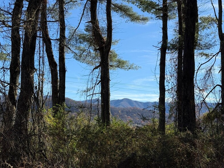 00 Airport Rd, Andrews, NC for sale - Building Photo - Image 3 of 5