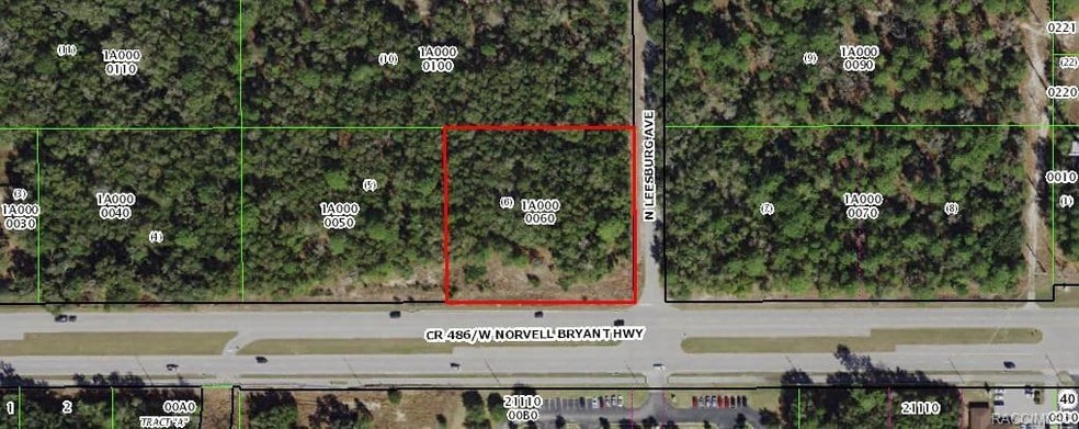 161 W Norvell Bryant Hwy, Hernando, FL for sale - Other - Image 1 of 20