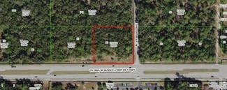 More details for 161 W Norvell Bryant Hwy, Hernando, FL - Land for Sale