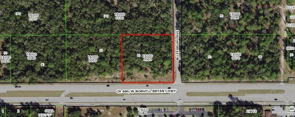 161 W Norvell Bryant Hwy, Hernando, FL for sale Other- Image 1 of 21