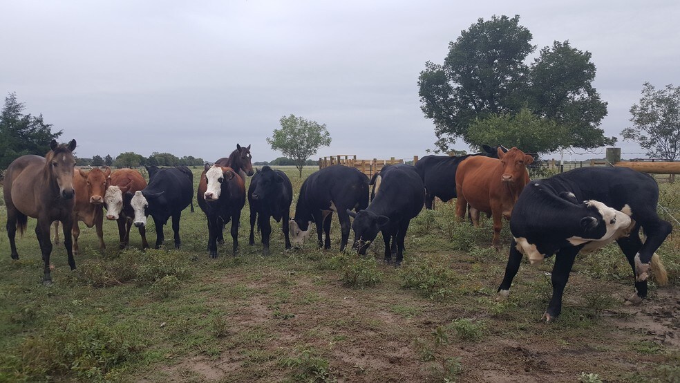 40 County Road 2512, Royse City, TX 75189