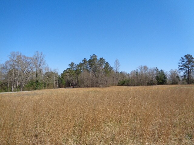 0 Campbellton Redwine Rd, Chattahoochee Hills, GA for sale Aerial- Image 1 of 1