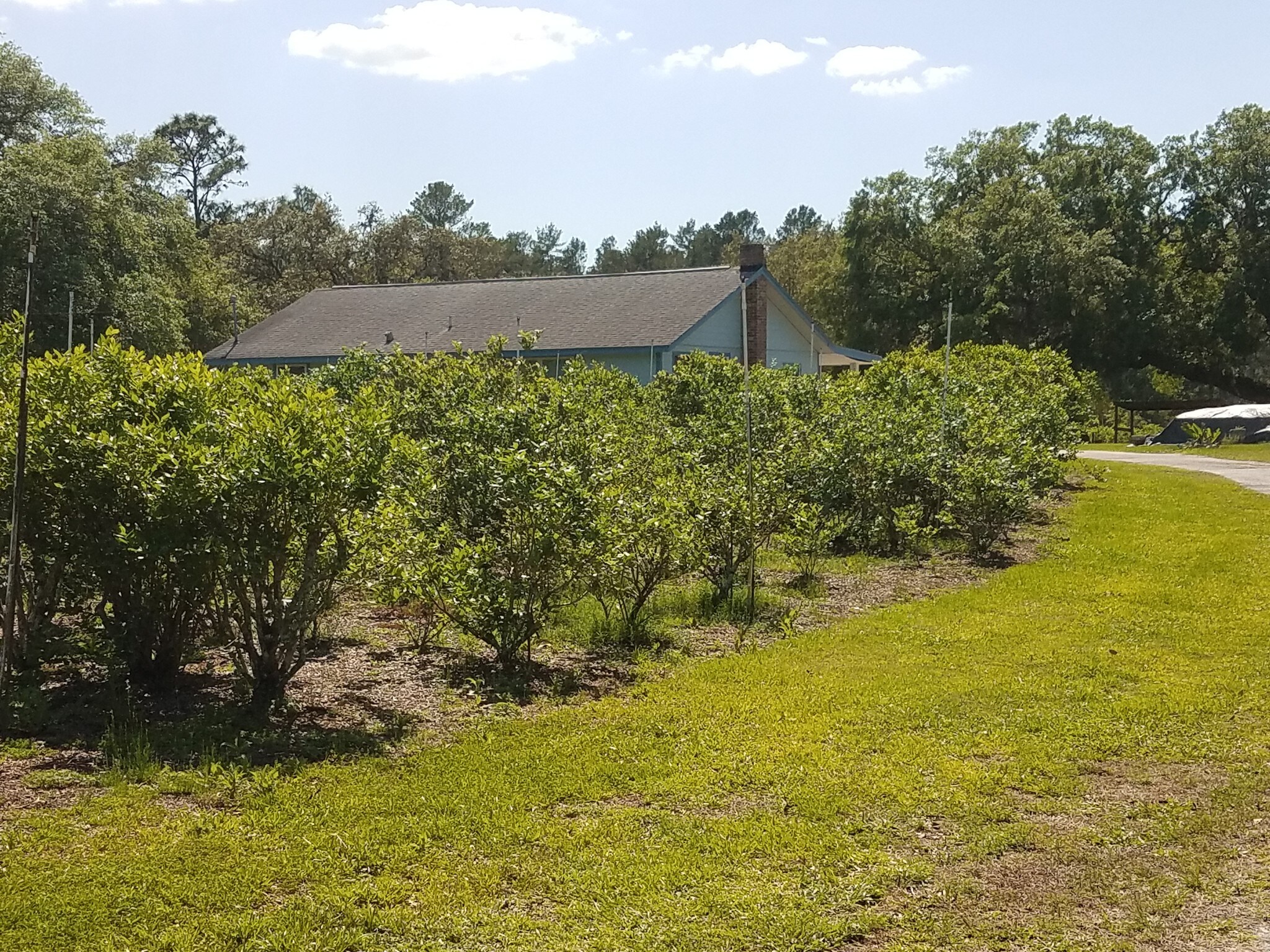 12839 Kitten Trl, Hudson, FL 34669 12839 kitten Trail