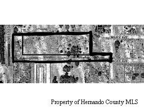 0 Raley Rd, Brooksville, FL for sale Primary Photo- Image 1 of 1