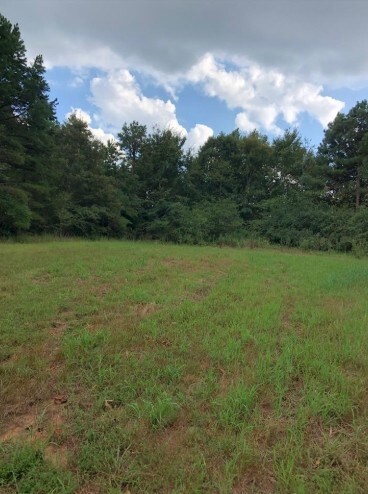 0 S County Road 409, Falkner, MS for sale Primary Photo- Image 1 of 1