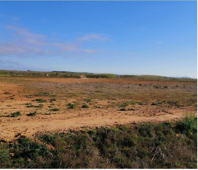 Industrial in Mansilla de las Mulas for sale - Building Photo - Image 3 of 5