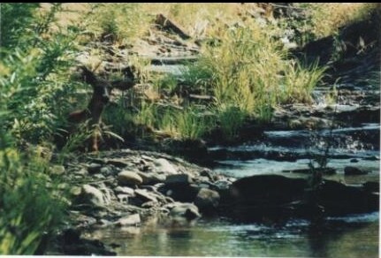 8693 Plantina Rd, Igo, CA for sale Building Photo- Image 1 of 1