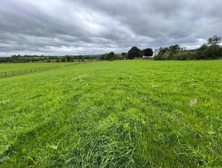 9 Ravella Rd, Aughnacloy for sale - Other - Image 2 of 3