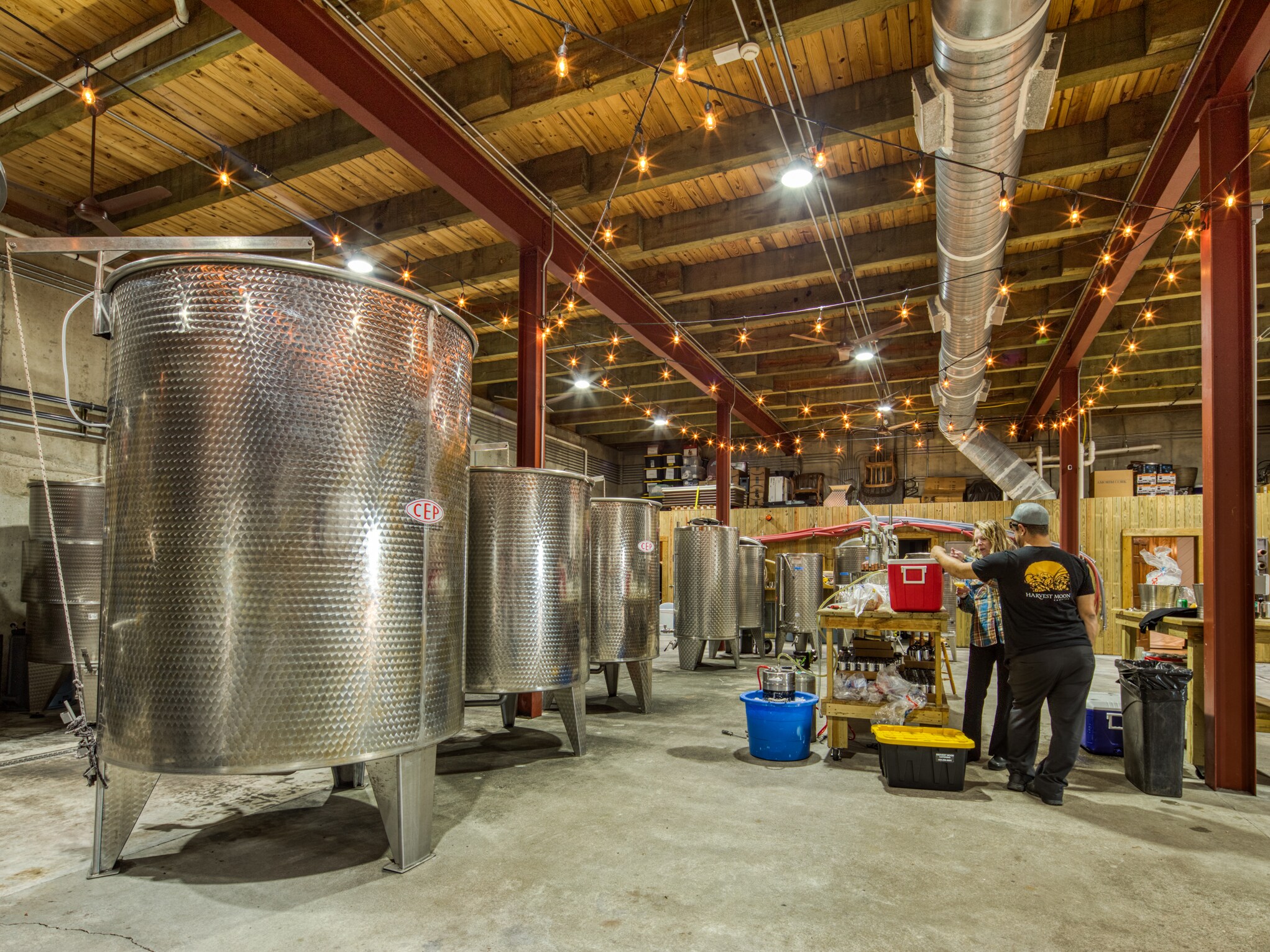 1376 Wyatt Mountain Rd, Dyke, VA 22935 Stone Mountain Vineyards