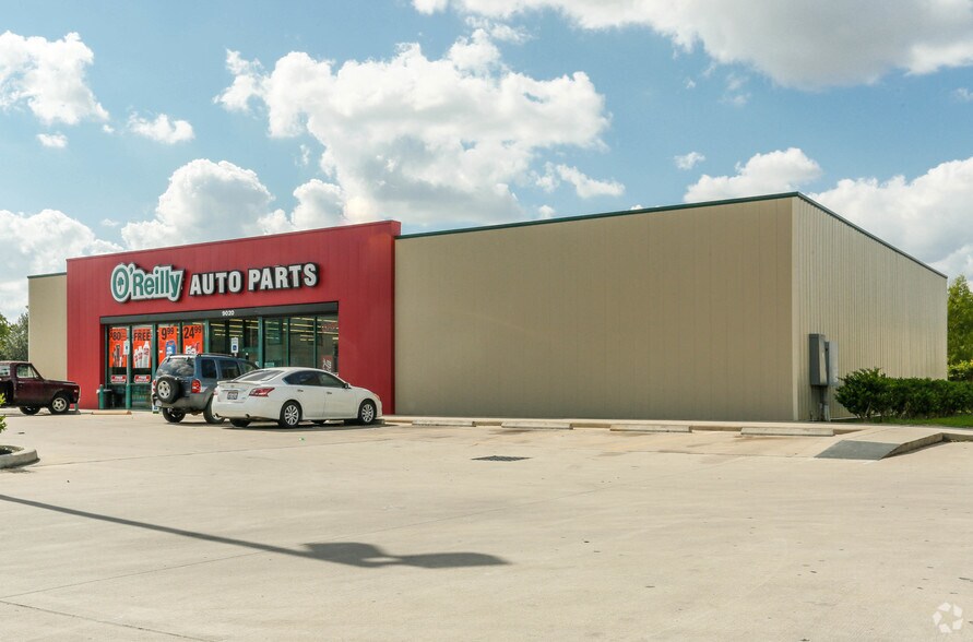 15 Oreillys Plant City AspynAsukulu