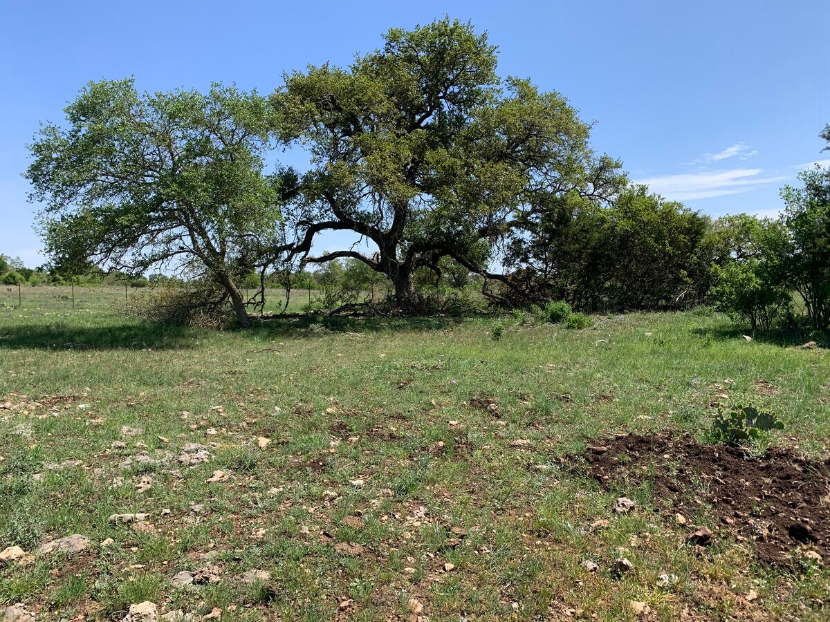 10120 State Highway 46 W, New Braunfels, TX 78132 Land for Sale