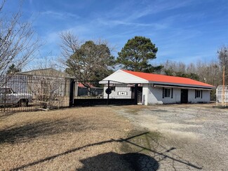 More details for 17838 NC 131 Hwy, Bladenboro, NC - Industrial for Sale