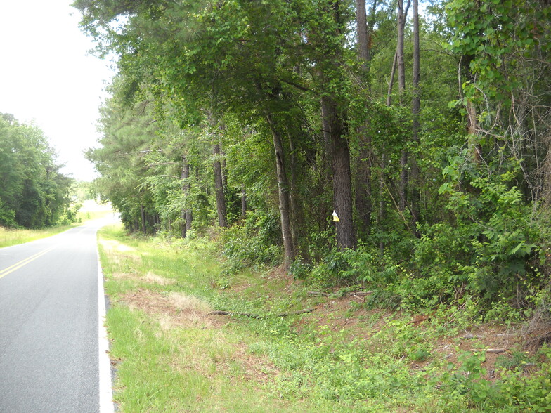 Tbd Scholl Shankle Rd, Hamlet, NC for sale - Primary Photo - Image 1 of 1