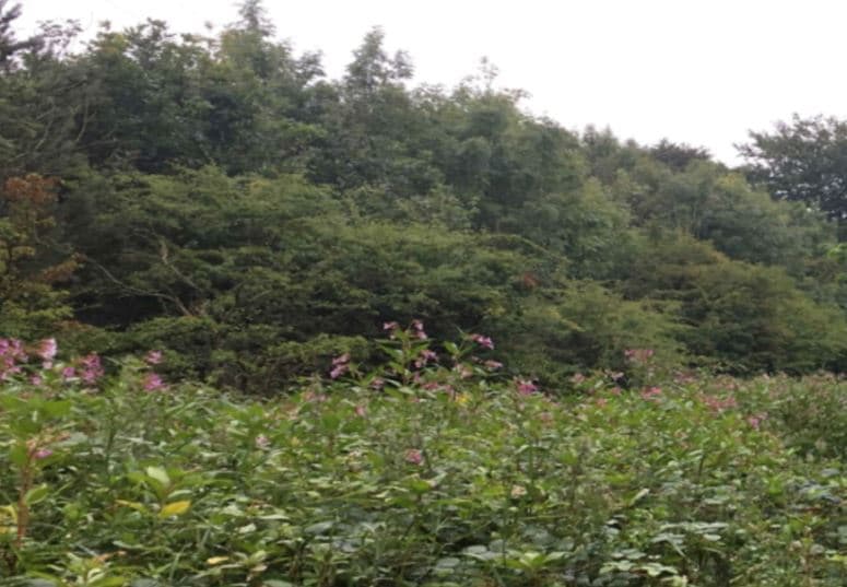 Nook Ln, Accrington for sale - Building Photo - Image 1 of 1