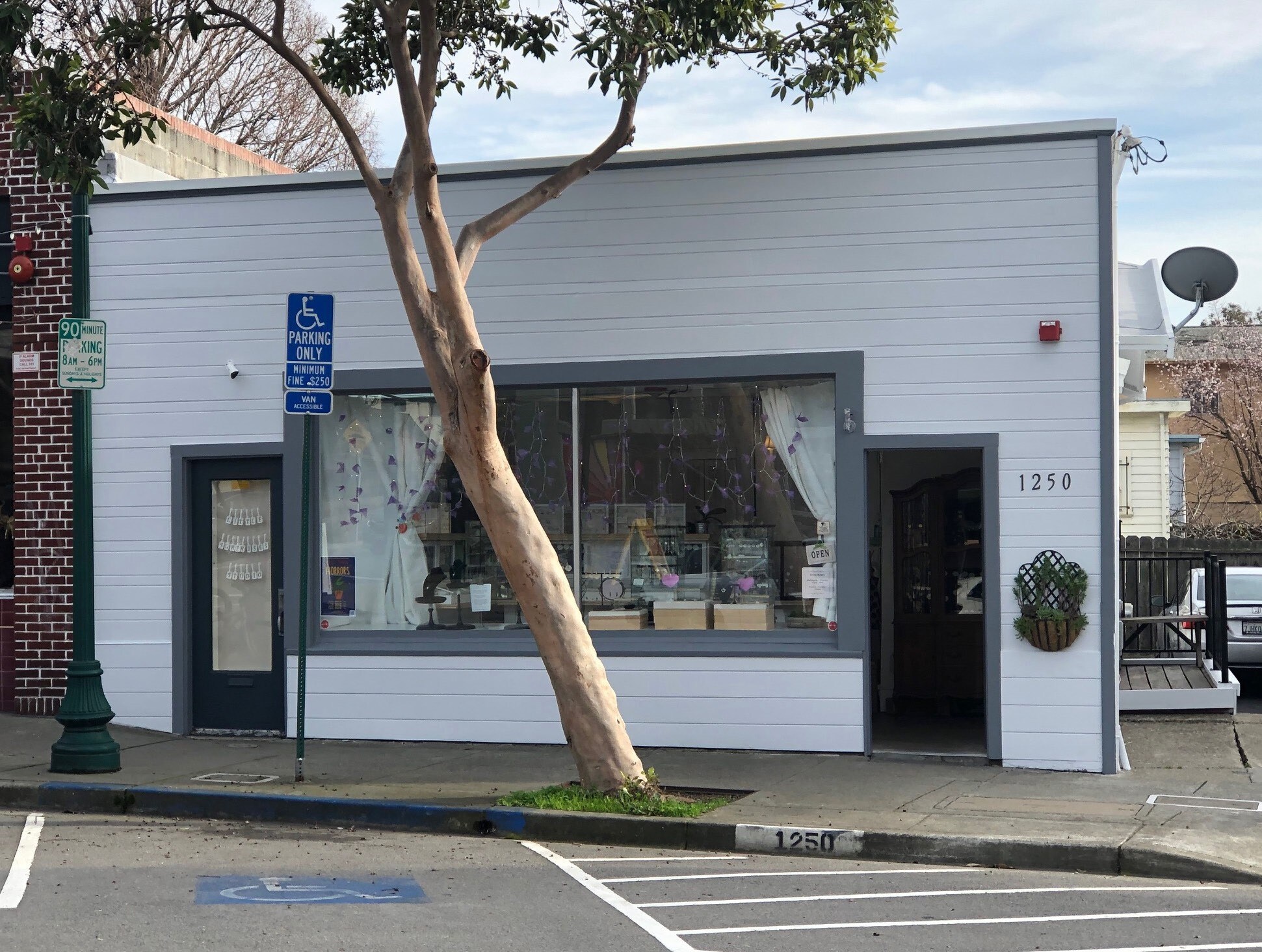 1250 Solano Ave, Albany, CA 94706