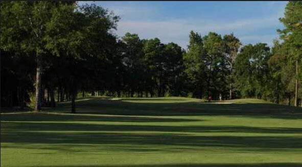 27350 Afton Way, Huffman, TX 77336 - Red Wolf Golf Course | LoopNet