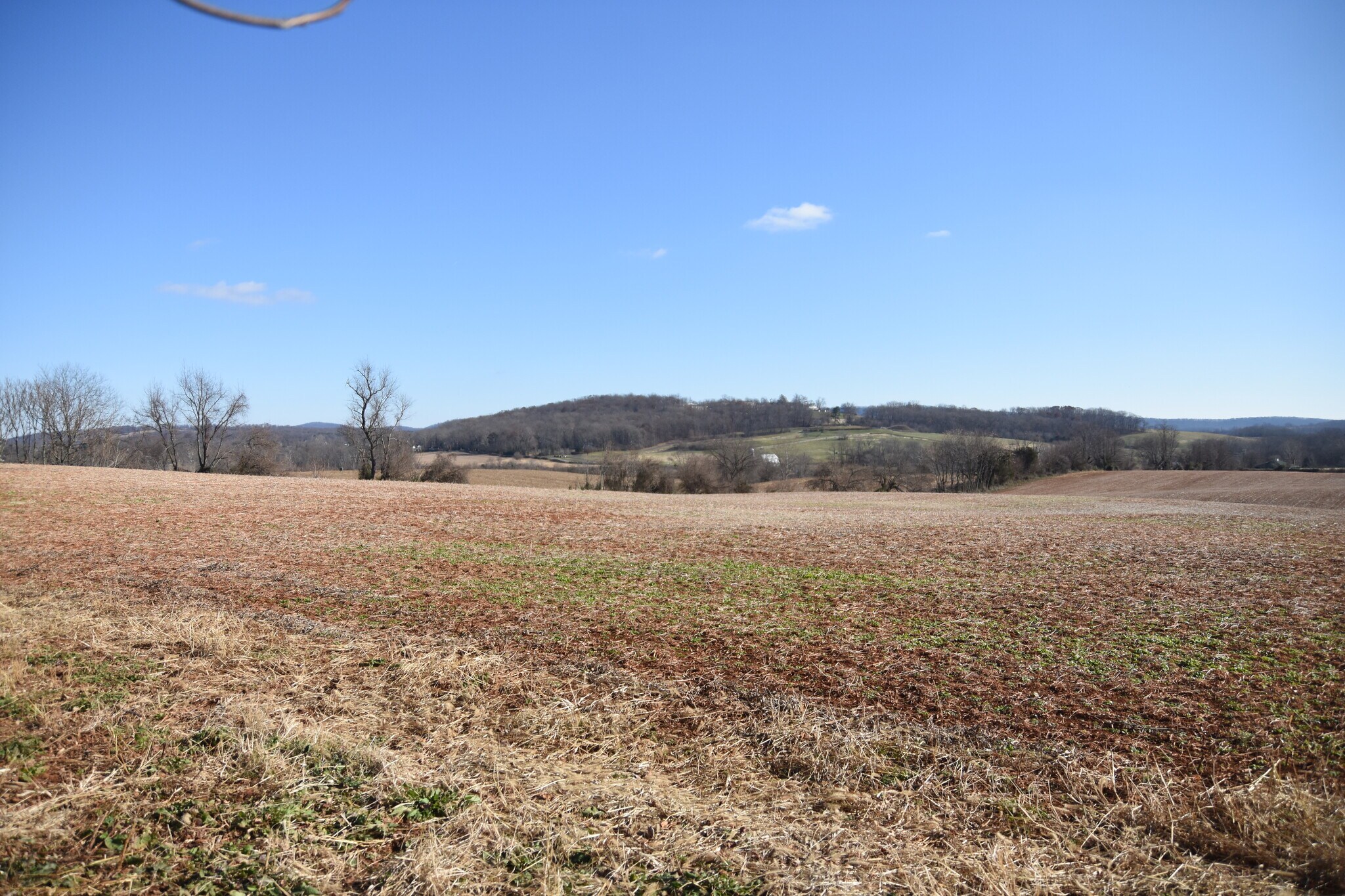 4572 Old Tavern Rd, The Plains, VA 20198 The Plains Vineyard/Winery