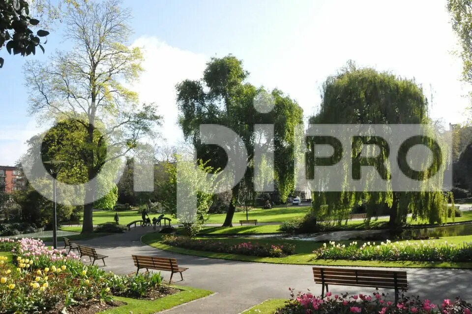 Retail in Le Havre for lease Building Photo- Image 1 of 5