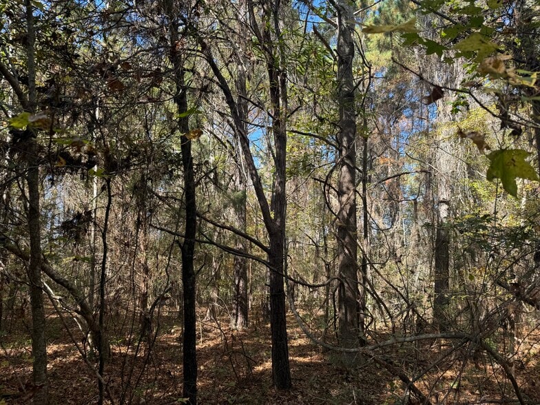 793 Puncheon Creek Dr, Andrews, SC for sale - Building Photo - Image 3 of 12