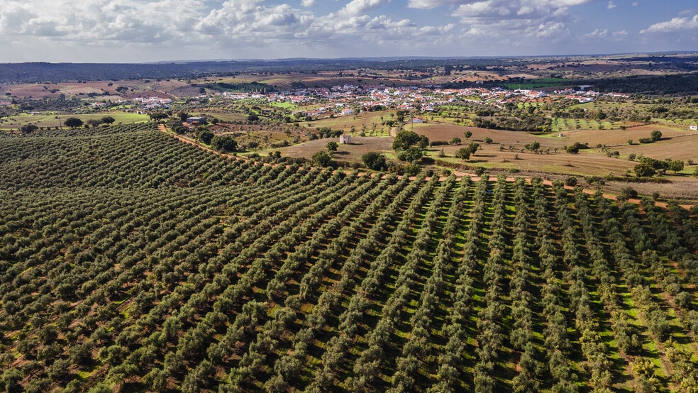 Land in Douro Valley for sale - Building Photo - Image 2 of 4
