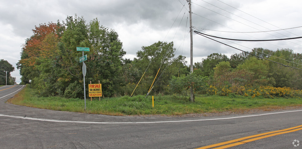 6309 Mertensia Rd, Farmington, NY for sale - Primary Photo - Image 1 of 1