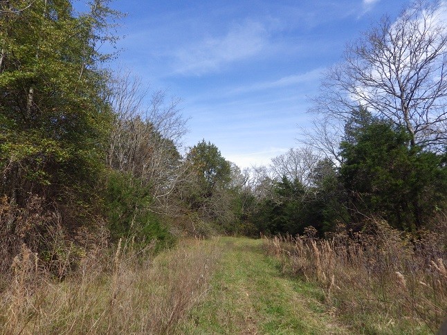 Reed Road Highway 82, Starkville, MS for sale - Other - Image 3 of 9