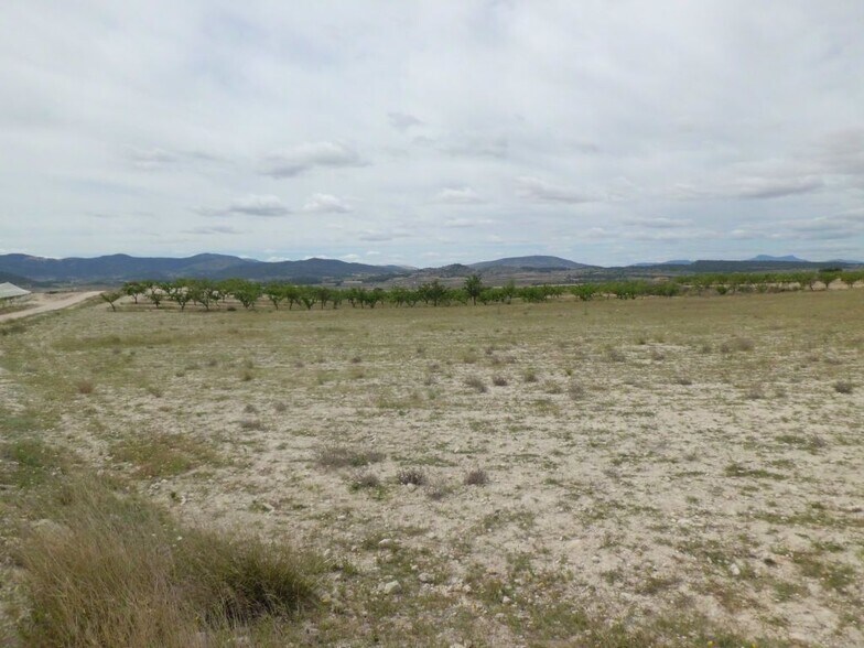 Land in PINOSO for sale - Building Photo - Image 3 of 3