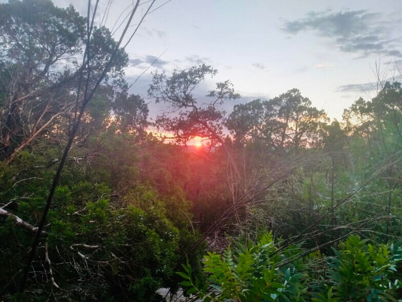 Shady Mountain Rd., Leander, TX for sale - Building Photo - Image 2 of 31