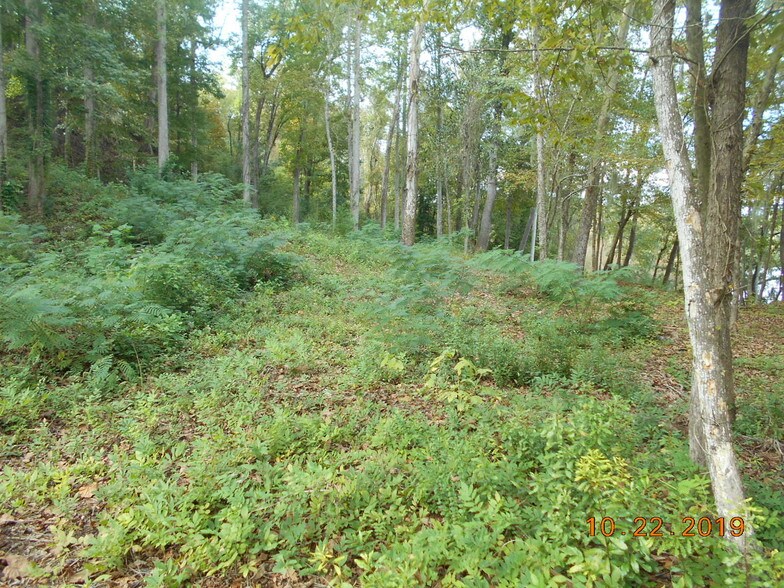 282 Tuckasee King Rd, Clyo, GA for sale - Other - Image 2 of 13