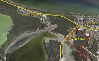 More details for Hwy 48 (226 Ac), Port Isabel, TX - Land for Sale