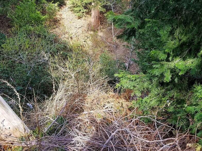 0 HOOK CREEK Rd, Cedar Glen, CA 92321