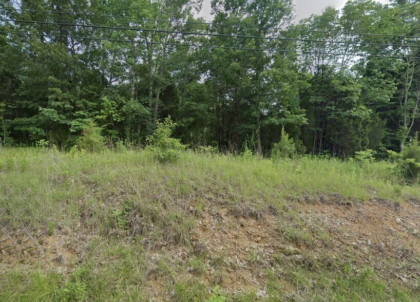 0 Blue Bird Rd, Falls Of Rough, KY for sale - Building Photo - Image 2 of 4