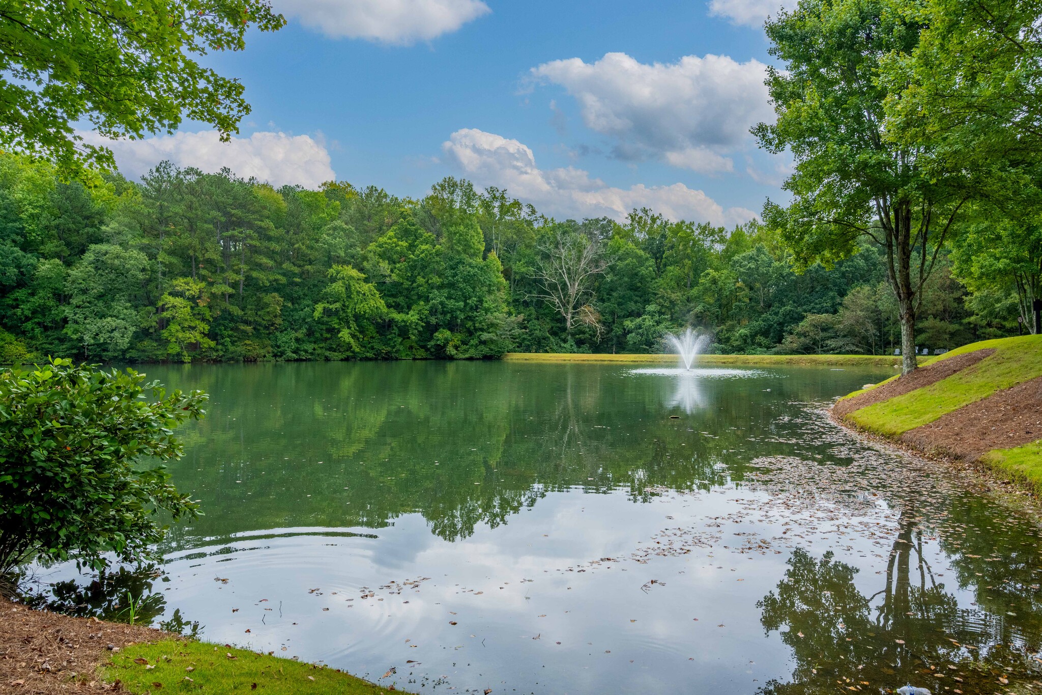 1835 Old Alabama Rd, Roswell, GA for sale Other- Image 1 of 18