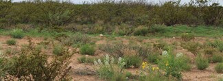 More details for 0000 Other, Barstow, TX - Land for Sale