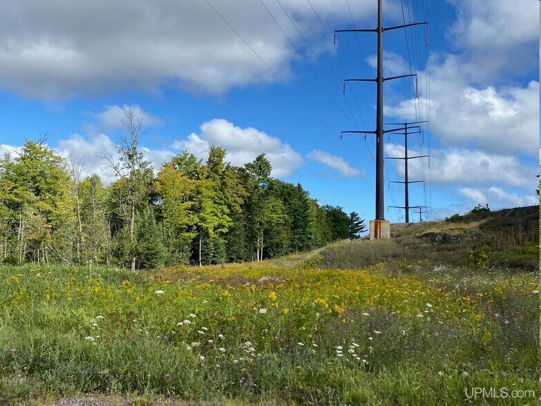 00 Brickyard Rd, Marquette, MI 49855 Land for Sale