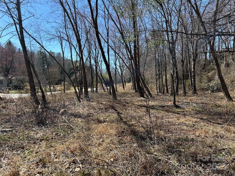 U.S. 64 East I-26 Rd, Hendersonville, NC for sale - Building Photo - Image 3 of 5