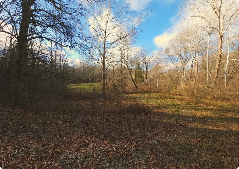 8881 N Baltimore Rd, Monrovia, IN for sale - Building Photo - Image 2 of 16