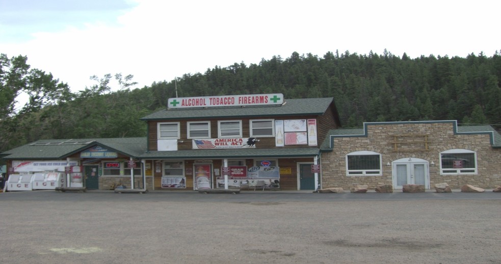 49 County Road 68, Bailey, CO for sale - Primary Photo - Image 1 of 1