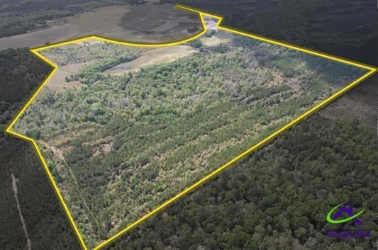 191 Acres Bethel Church Road, Eastman, GA for sale - Aerial - Image 1 of 20