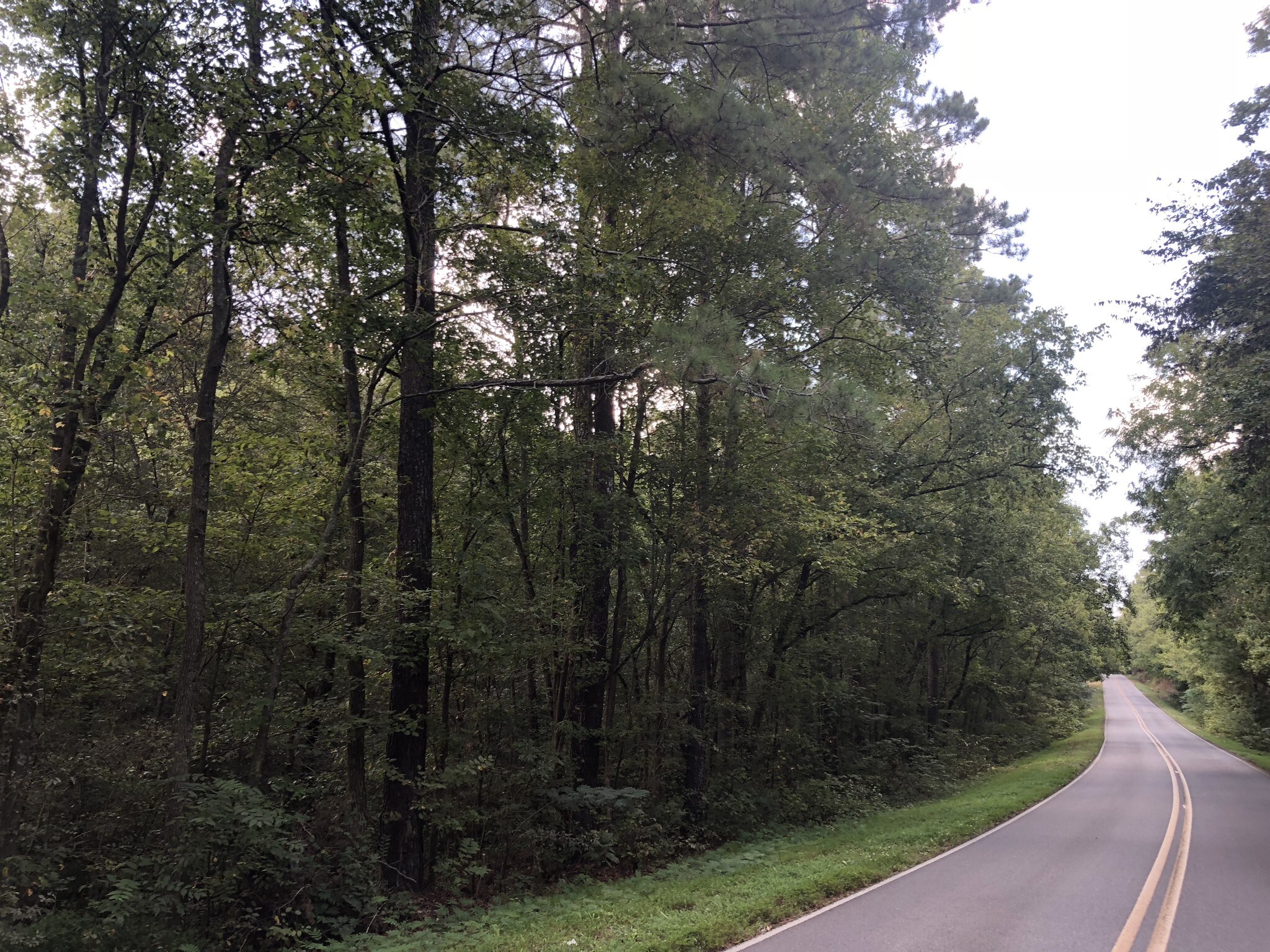 0 Spring Place Rd, White, GA for sale Other- Image 1 of 1