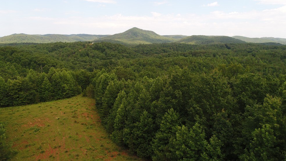 300 Well Mountain Rd, Westminster, SC for sale - Building Photo - Image 1 of 1